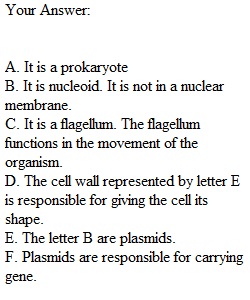 Exam 1 Chapter 3